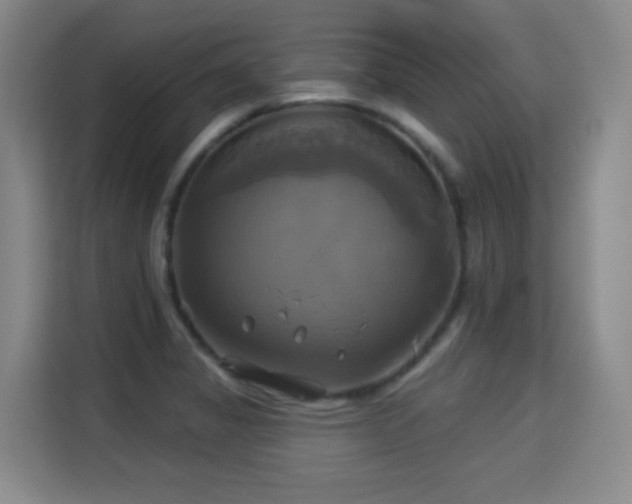 X0000115331325200911091237