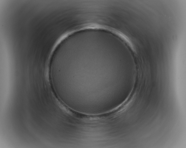 X0000115331326200911091237
