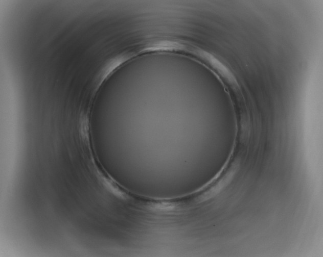 X0000115331329200911091237