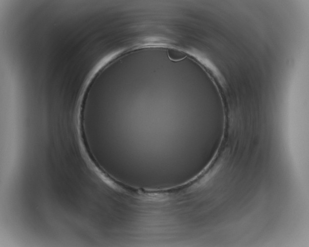 X0000115331333200911091237