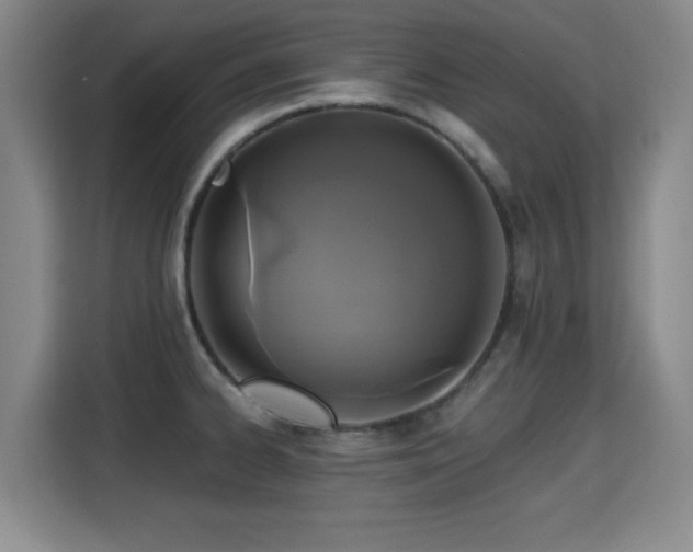 X0000115331334200911091237