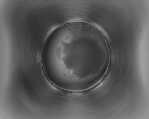 X0000115331337200911091237