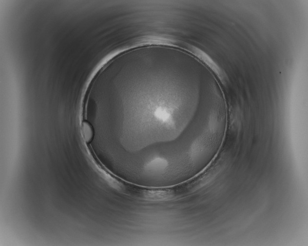 X0000115331339200911091237