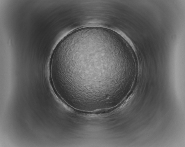 X0000115331341200911091237