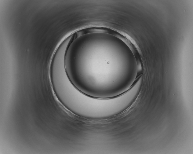 X0000115331342200911091237