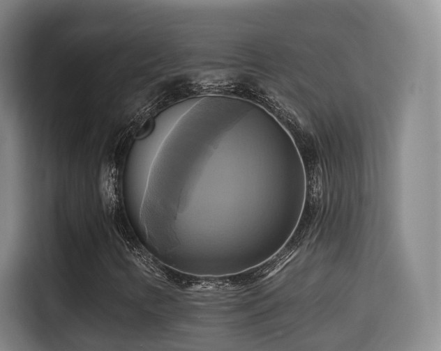 X0000115331346200911091237