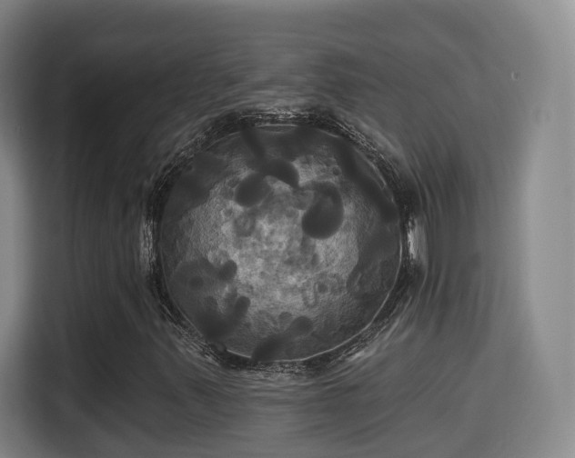 X0000115331347200911091237