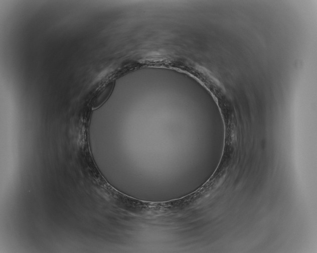 X0000115331350200911091237