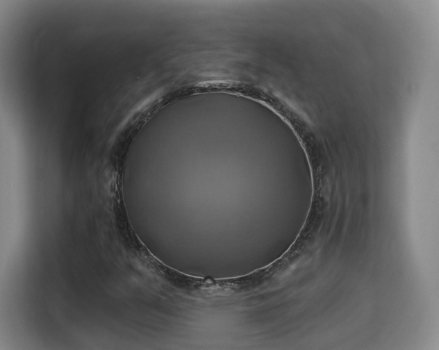 X0000115331351200911091237