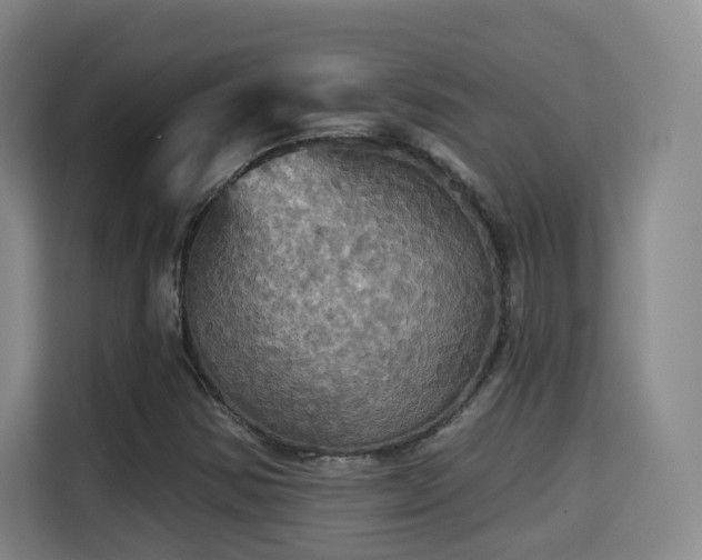 X0000115331354200911091237