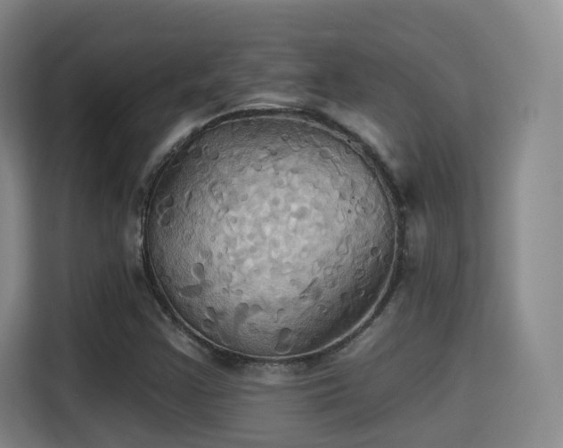 X0000115331355200911091237