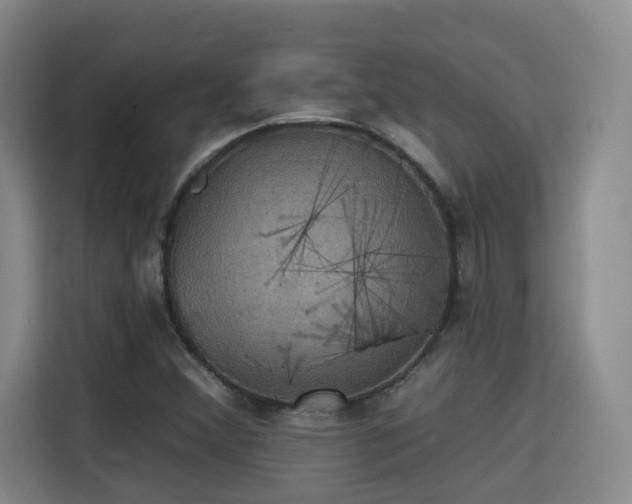 X0000115331356200911091237