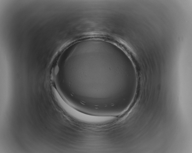 X0000115331357200911091237