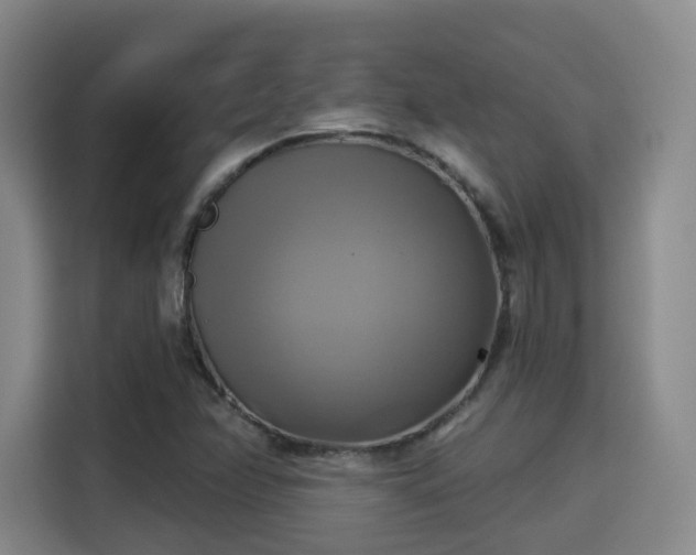 X0000115331358200911091237