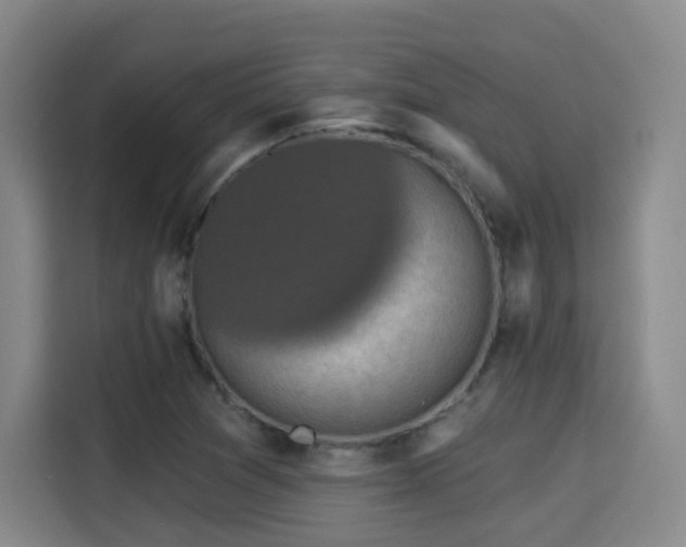 X0000115331361200911091237