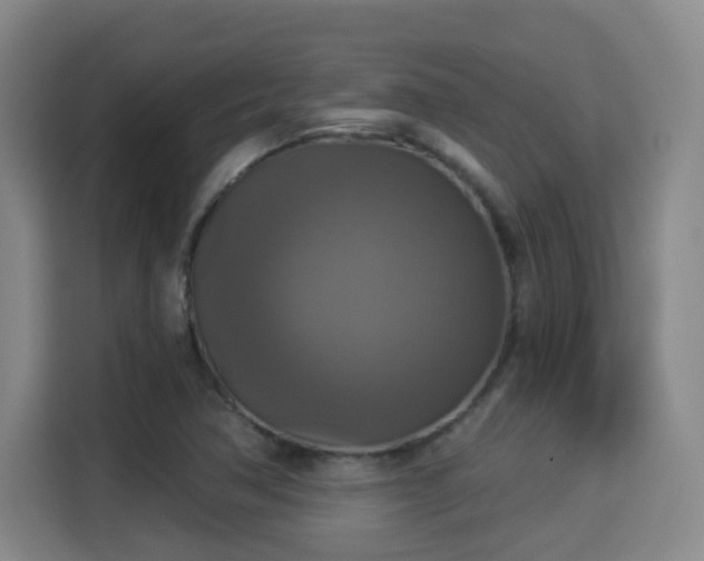 X0000115331362200911091237