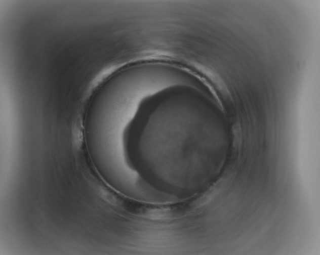X0000115331363200911091236