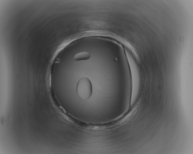 X0000115331365200911091236