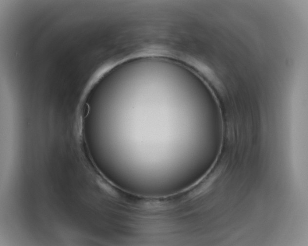 X0000115331366200911091236
