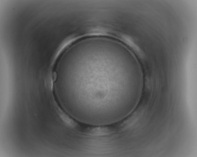 X0000115331368200911091236