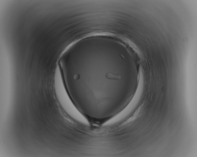 X0000115331369200911091236