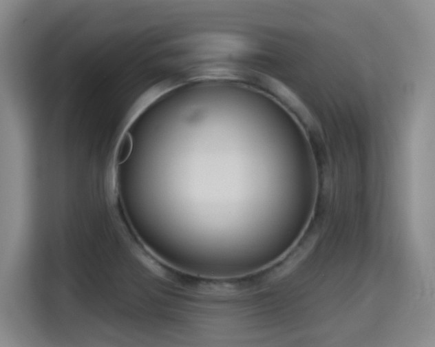 X0000115331370200911091236