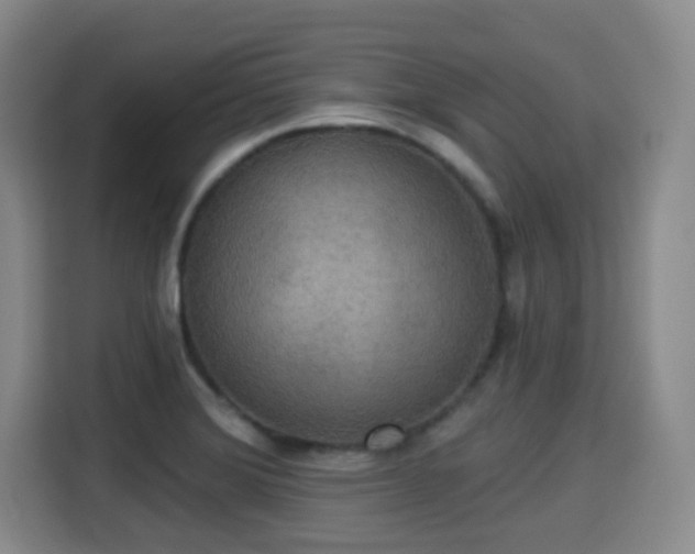 X0000115331372200911091236