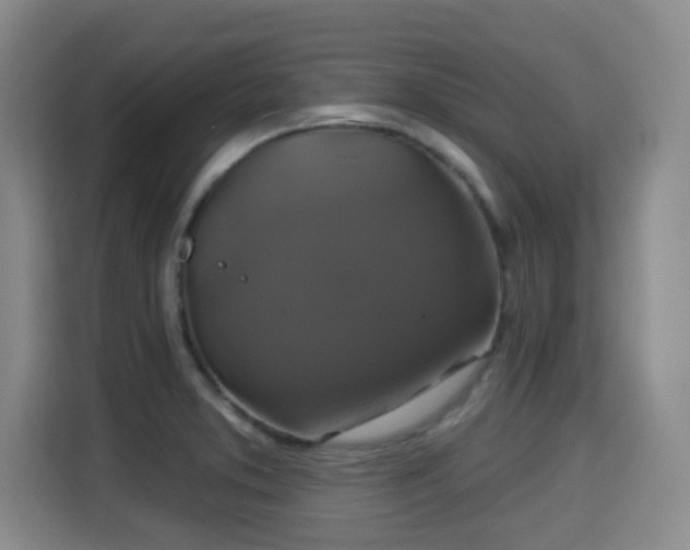 X0000115331373200911091236