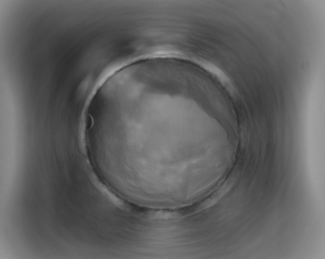X0000115331374200911091236