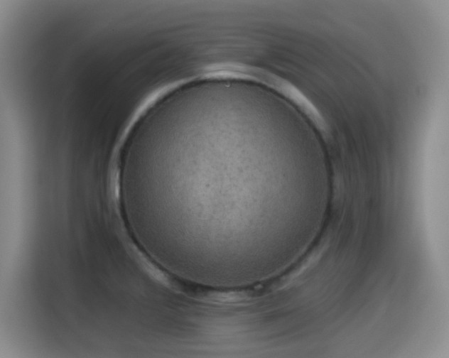 X0000115331376200911091236
