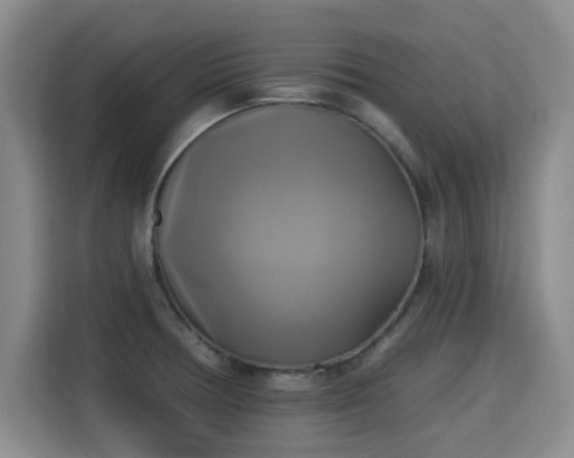 X0000115331378200911091236