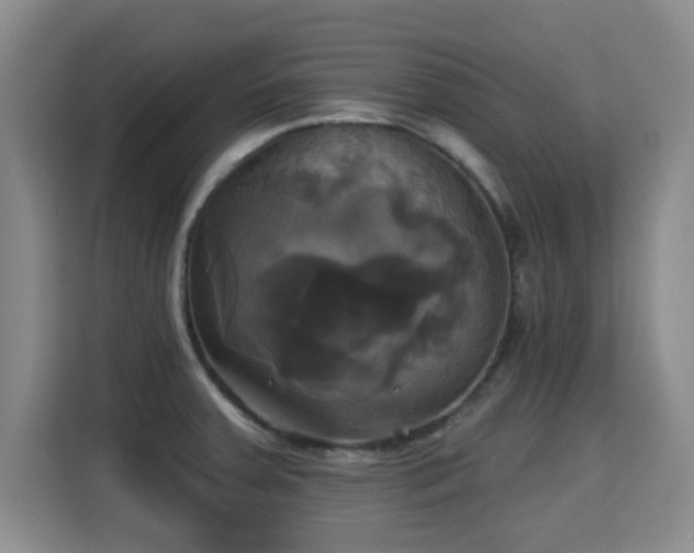 X0000115331379200911091236