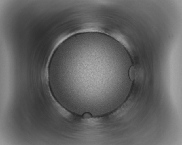 X0000115331380200911091236