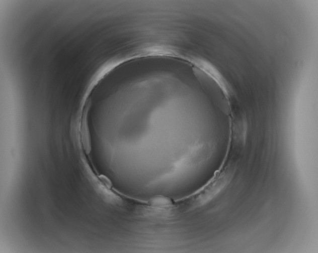 X0000115331381200911091236