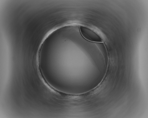 X0000115331382200911091236