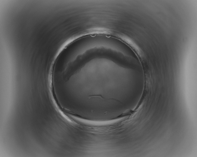 X0000115331383200911091236