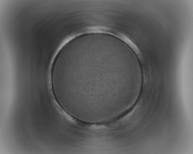 X0000115331384200911091236