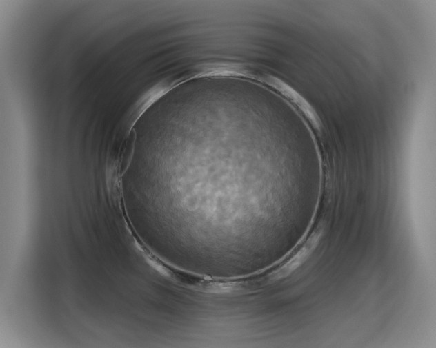 X0000115331385200911091236