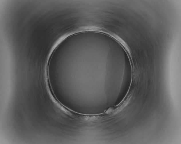 X0000115331389200911091236
