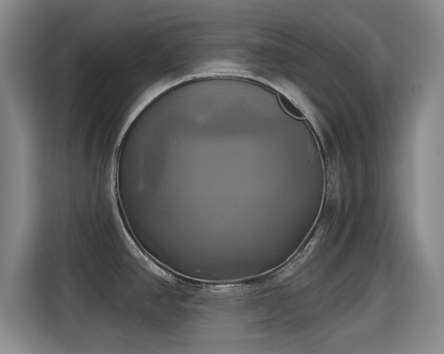 X0000115331390200911091236
