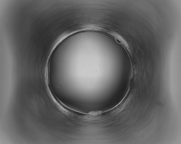 X0000115331391200911091236