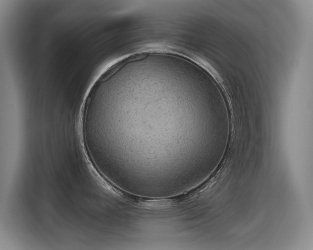 X0000115331392200911091236