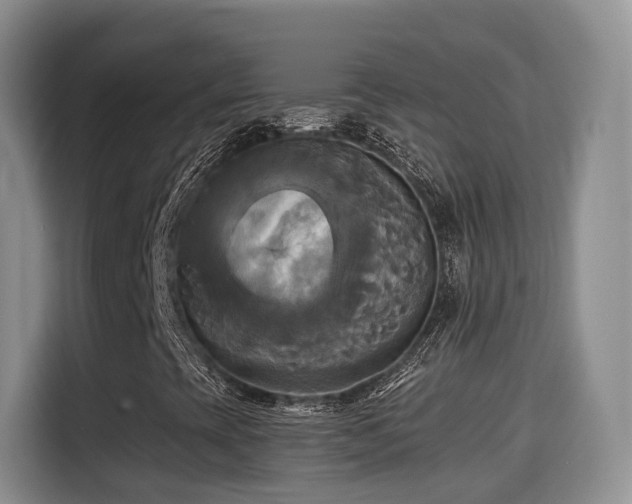X0000115331393200911091235