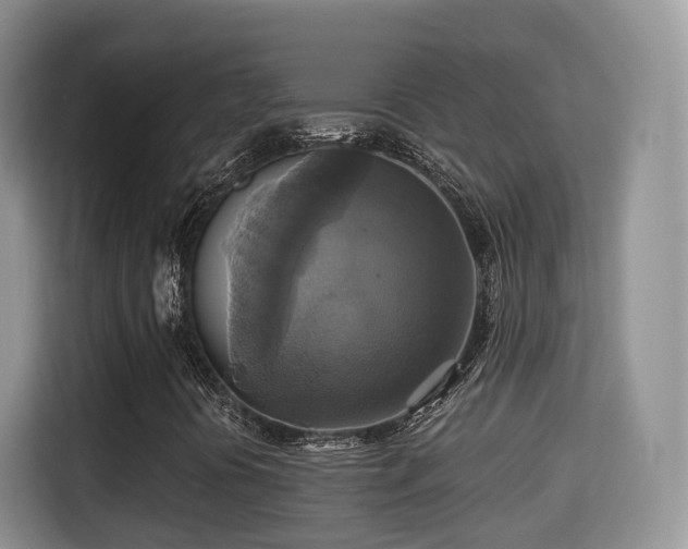 X0000115331394200911091236