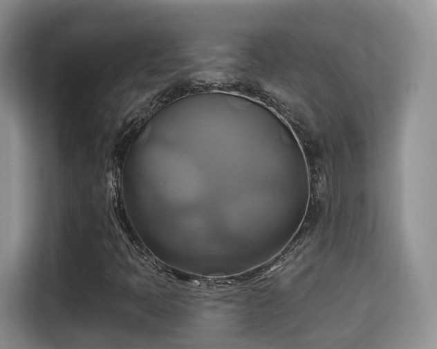X0000115331397200911091236
