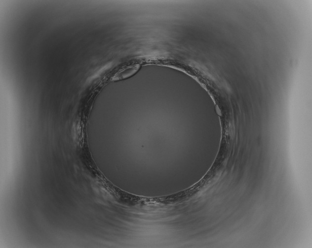X0000115331398200911091236