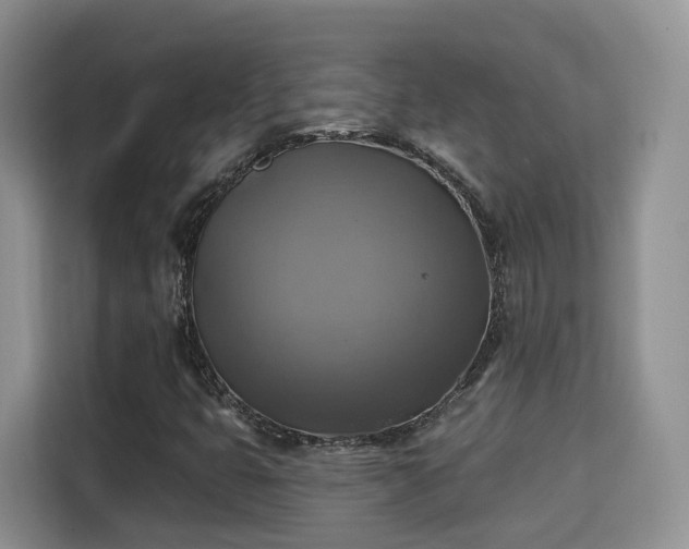 X0000115331399200911091236