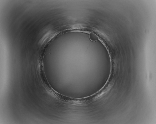 X0000115331401200911091236