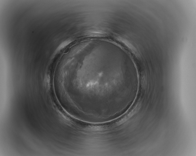X0000115331402200911091236