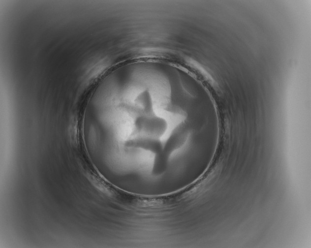 X0000115331403200911091236
